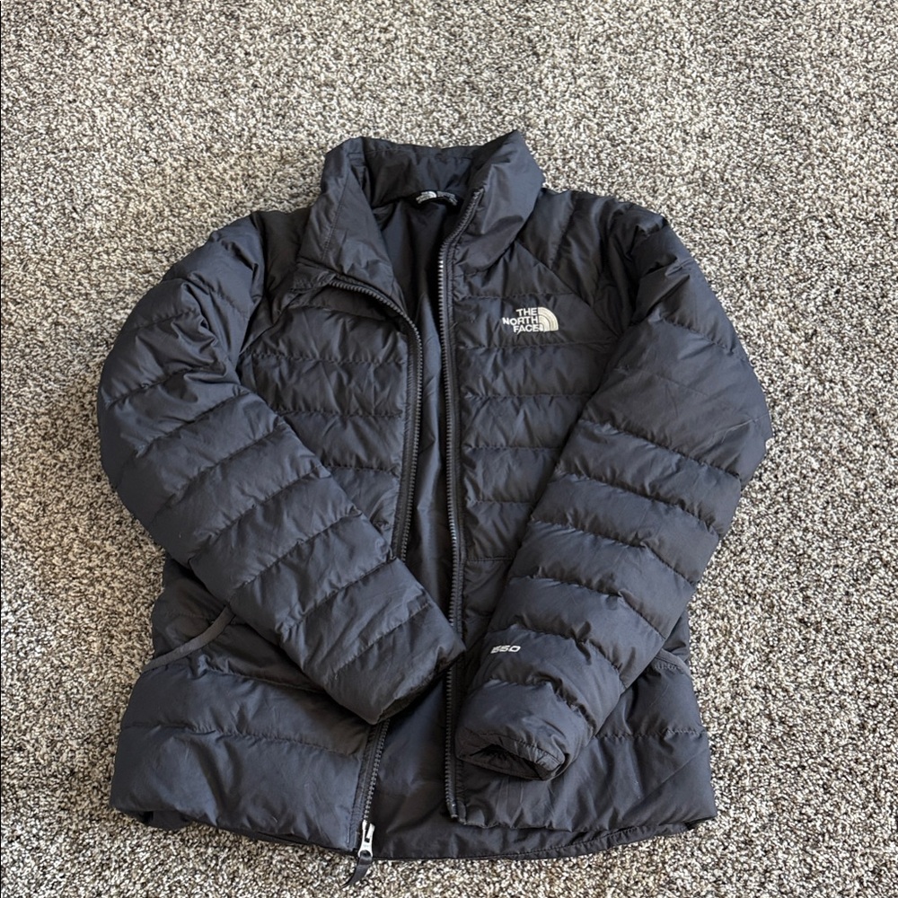 The North Face Dark Puffer Jacket